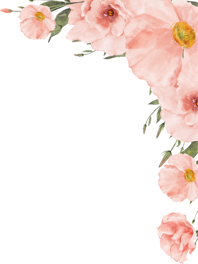 Peach Flower Frame
